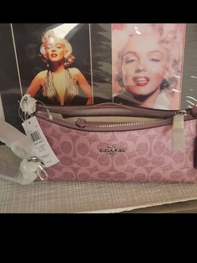 Coach Charlotte Pink Metallic Bag And Card Case New
